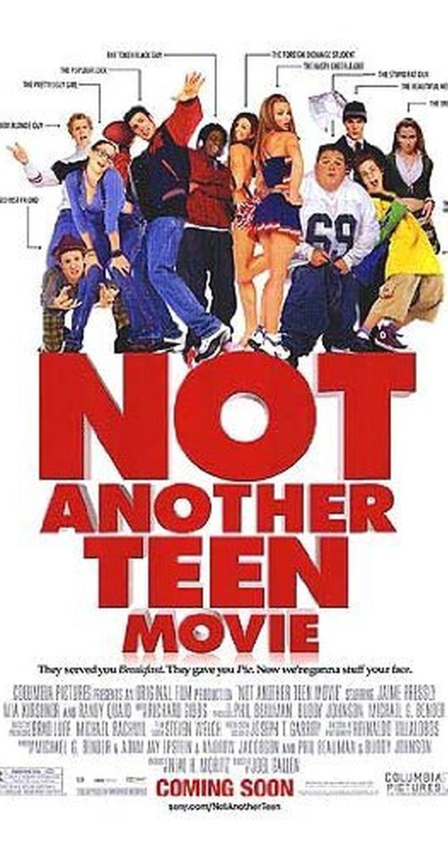 Not Another Teen Movie