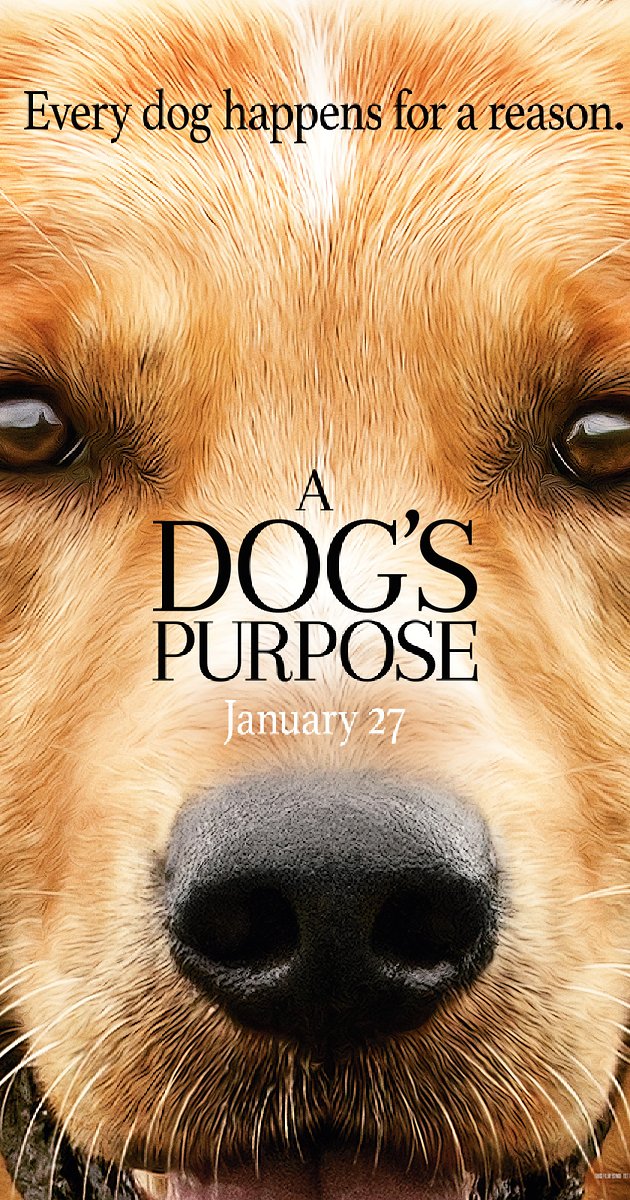 A Dogs Purpose