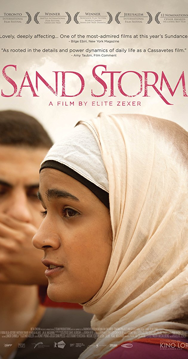 Sand Storm (2016)