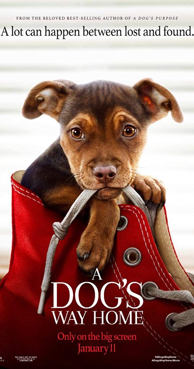 A Dogs Way Home 2019 เพื่อนรักผจญภัยสี่ร้อยไมล์