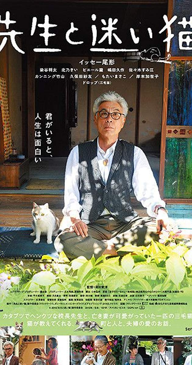 Teacher and Stray Cat (2015)